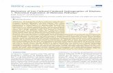 Mechanism of Iron Carbonyl-Catalyzed Hydrogenation of ...