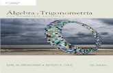 Álgebra y trigonometría con geometría analítica, 13va Edición