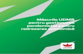 Măsurile UDMR pentru gestionarea pandemiei ˚i pentru ...