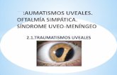 077 Traumatismos Uveales, Oftalmia Simpatica, Sindrome ...
