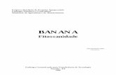 BANANA - FRUTVASF