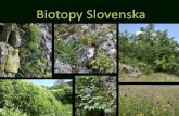 Biotopy Slovenska - Technical University in Zvolen
