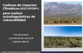 Cadenas de Impactos Climáticos (GIZ-CIFOR*)