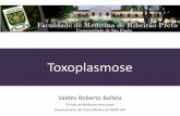 Toxoplasmose - University of São Paulo