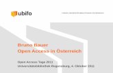 Bruno Bauer Open Access in Österreich