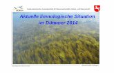 Aktuelle limnologische Situation im Dümmer 2014