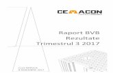 Raport BVB Rezultate Trimestrul 3 2017