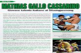 Muay Thai MATHIAS GALLO CASSARINO