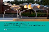 Budsjett 2021 / økonomiplan 2021–2024