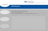 BK-Report 1/2019 'Aromatische Amine' - DGUV Publikationen