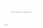 The Nervous System 3 - bpums.ac.ir