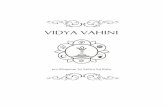 vidya - VirtuaServer