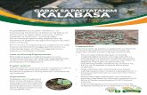 KALABASA - Agricultural Training Institute
