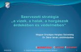 Magyar Országos Horgász Szövetség Dr. Dérer István ...