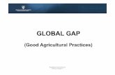 GLOBAL GAP - HGK