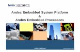 Embedded System Platform & Andes Embedded Processors