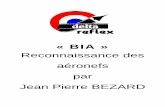 « BIA » Reconnaissance des aéronefs par Jean Pierre BEZARD