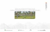 Skogsskötselns grunder och samband