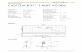 Technisches Datenblatt BS1F 1 MXV 40-806