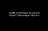 Le Nil: archéologie du present
