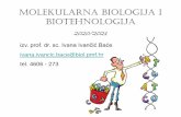 MOLEKULARNa BIOLOGIJa i biotehnologija