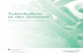 Tuberkulose in der Schweiz - Federal Council
