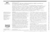 ORIGINAL ARTICLE Prevalence of rare mitochondrial DNA ...