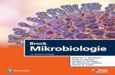 Mikrobiologie - files.pearsoned.de