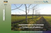 AGROFORESTAZIONE - Veneto Agricoltura