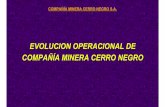 EVOLUCION OPERACIONAL DE COMPAÑÍA MINERA CERRO …