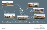 Socialpsykiatriske tilbud i Region Syddanmark