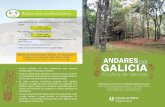 ANDARES GALICIA - Oleiros