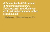 Covid-19 en Paraguay. Notas sobre el sistema de salud