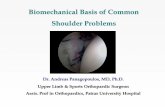 Biomechanical Basis of Common Shoulder Problems