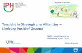Toezicht in Strategische Allianties Limburg Positief Gezond