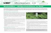 der Bayerischen Landesanstalt für Wald und Forstwirtschaft ...