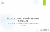 LIC. GUILLERMO ANDRÉS BRAHMS GONZÁLEZ
