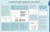 Transported by light: optogenetic control of NCX1