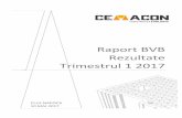 Raport BVB Rezultate Trimestrul 1 2017
