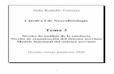 Aldo Rodolfo Ferreres Cátedra I de Neurofisiología