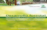 Desarrollo Forestal Desarrollo Forestal