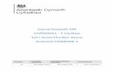 Cynrychiolaeth Sifil CIVMODD1 - Y Canllaw Sut i lenwi ...