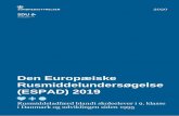 Den Europæiske Rusmiddelundersøgelse (ESPAD) 2019