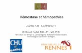 Hémostase et hémopathies
