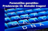 Forenzička genetika Predavanje II: Biološki tragovi
