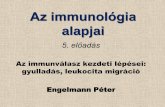Az immunológia - immbio.hu