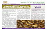 MAPM/DEFR Méthodes de Multiplication des abeilles et n ...