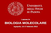 Laurea in BIOLOGIA MOLECOLARE - facolta.scienze.unipd.it