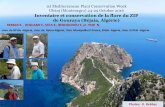 1st Mediterranean Plant Conservation Week Ulcinj ...