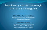 Enseñanza y uso de la Patología animal en la Patagonia